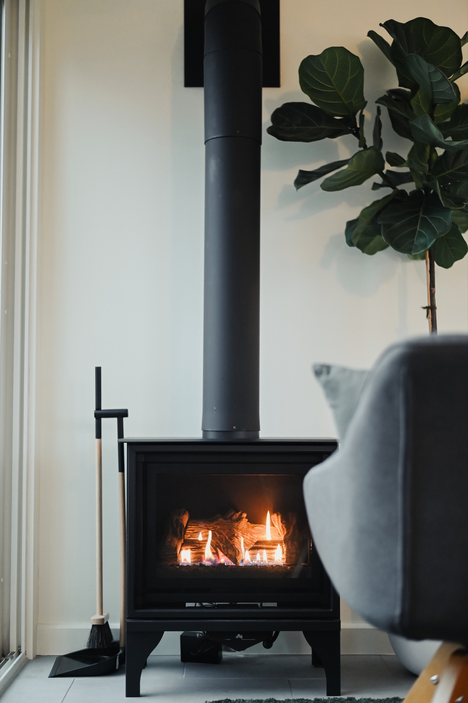 Wood-burning stove with fiddle leaf fig in the living area